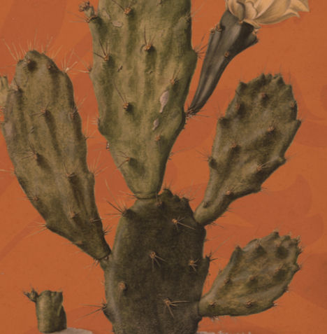 Cactus Cuts and Bluepoint LIVE at the Lobby